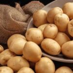Beyond the Fry: Why Cold Chain Matters — And How India’s Potato Story is Evolving 🥔